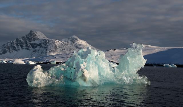 (260211) -- NUUK, Feb. 11, 2026 (Xinhua) -- This photo taken on Feb. 8, 2026 shows the scenery near Nuuk, Greenland, an autonomous territory of Denmark. (Xinhua/Li Ying)
