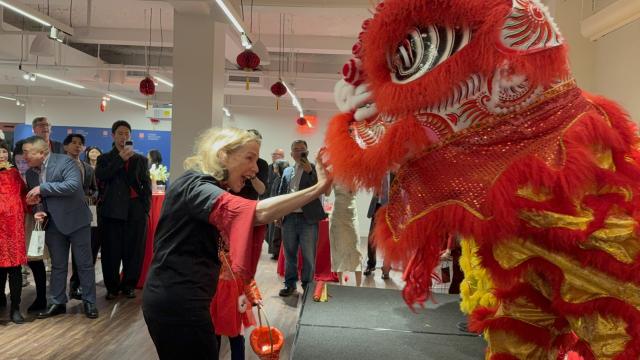 (260211) -- NEW YORK, Feb. 11, 2026 (Xinhua) -- A guest interacts with a dancing lion before a Chinese New Year banquet held in Lower Manhattan, New York City, the United States, on Feb. 9, 2026. TO GO WITH "Feature: Chinese New Year banquet in New York celebrates culinary heritage, cross-cultural connections" (Photo by Vivien Liu/Xinhua)