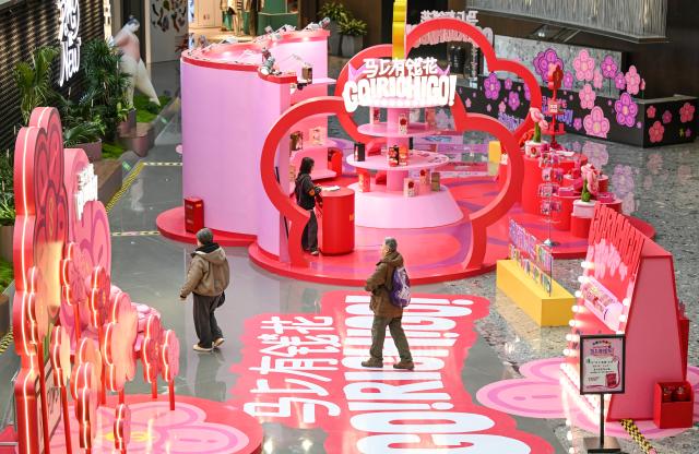 (260211) -- BEIJING, Feb. 11, 2026 (Xinhua) -- Customers visit a shopping mall in Beijing, capital of China, Feb. 11, 2026. China's consumer price index (CPI), a main gauge of inflation, edged up 0.2 percent year on year in January, official data showed on Wednesday. (Xinhua/Chen Yehua)