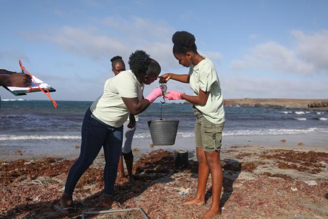 (260212) -- SAO DOMINGOS, Feb. 12, 2026 (Xinhua) -- Locals weigh collected seaweed on the beach near the community of Moia Moia in Sao Domingos Municipality on Santiago Island, Cape Verde, Feb. 11, 2026.
  Local women in the community of Moia Moia turn seaweed into organic fertilizers, which are then applied to the cultivation of tomatoes, maize and watermelons. (Photo by Elton Monteiro/Xinhua)