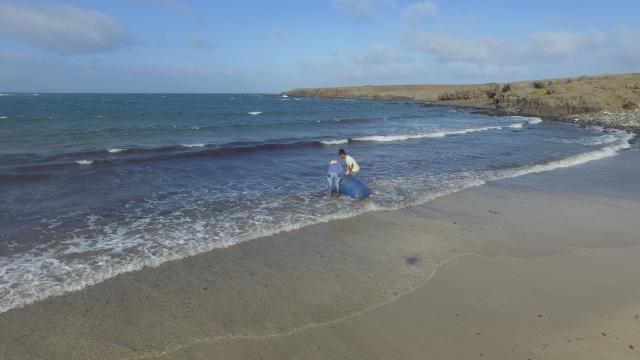 (260212) -- SAO DOMINGOS, Feb. 12, 2026 (Xinhua) -- A drone photo shows locals collecting seaweed on the beach near the community of Moia Moia in Sao Domingos Municipality on Santiago Island, Cape Verde, Feb. 11, 2026.
  Local women in the community of Moia Moia turn seaweed into organic fertilizers, which are then applied to the cultivation of tomatoes, maize and watermelons. (Photo by Elton Monteiro/Xinhua)