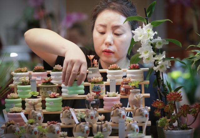 (260213) -- RICHMOND, Feb. 13, 2026 (Xinhua) -- A vendor prepares plants at a Chinese New Year flower and gift fair at Aberdeen Center in Richmond, British Columbia, Canada, on Feb. 12, 2026. (Photo by Liang Sen/Xinhua)