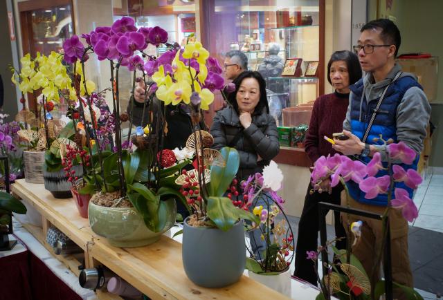(260213) -- RICHMOND, Feb. 13, 2026 (Xinhua) -- Customers select flowers at a Chinese New Year flower and gift fair at Aberdeen Center in Richmond, British Columbia, Canada, on Feb. 12, 2026. (Photo by Liang Sen/Xinhua)