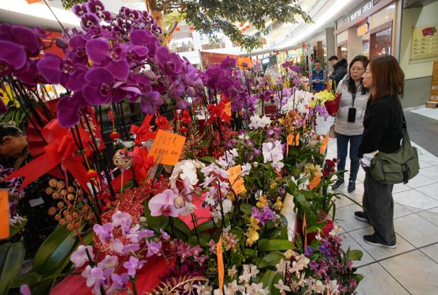 (260213) -- RICHMOND, Feb. 13, 2026 (Xinhua) -- Customers select flowers at a Chinese New Year flower and gift fair at Aberdeen Center in Richmond, British Columbia, Canada, on Feb. 12, 2026. (Photo by Liang Sen/Xinhua)