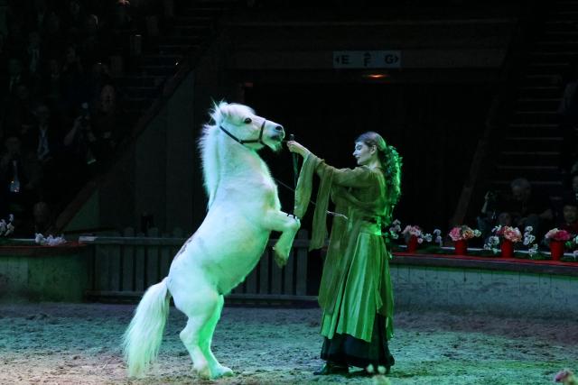 (260213) -- PARIS, Feb. 13, 2026 (Xinhua) -- A traditional French equestrian performance is staged during a gala celebrating the Chinese Year of the Horse at the Great Stables in the estate of the Chateau de Chantilly in the Hauts-de-France region, France, Feb. 11, 2026. Co-hosted by the Hauts-de-France regional authorities and the Chinese Embassy in France, the event was distinct from many other Chinese New Year activities. At the Great Stables, the highlight was a distinctly local art form: traditional French equestrian performance.
   TO GO WITH "Feature: French equestrian gala marks Chinese Year of the Horse" (Xinhua/Zhang Baihui)