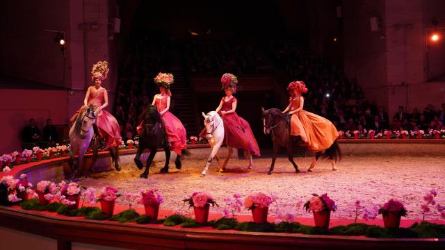 (260213) -- PARIS, Feb. 13, 2026 (Xinhua) -- A traditional French equestrian performance is staged during a gala celebrating the Chinese Year of the Horse at the Great Stables in the estate of the Chateau de Chantilly in the Hauts-de-France region, France, Feb. 11, 2026. Co-hosted by the Hauts-de-France regional authorities and the Chinese Embassy in France, the event was distinct from many other Chinese New Year activities. At the Great Stables, the highlight was a distinctly local art form: traditional French equestrian performance.
   TO GO WITH "Feature: French equestrian gala marks Chinese Year of the Horse" (Xinhua/Cui Kexin)