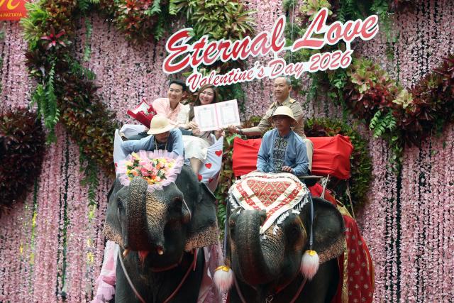 (260214) -- PATTAYA, Feb. 14, 2026 (Xinhua) -- A couple poses for a photo on an elephant during a mass wedding ceremony at Nong Nooch Tropical Garden in Pattaya, Thailand, Feb. 14, 2026. (Xinhua/Rachen Sageamsak)