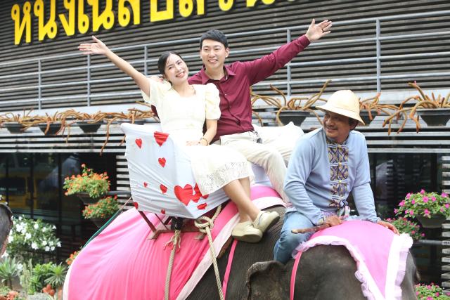 (260214) -- PATTAYA, Feb. 14, 2026 (Xinhua) -- A couple poses for a photo on an elephant during a mass wedding ceremony at Nong Nooch Tropical Garden in Pattaya, Thailand, Feb. 14, 2026. (Xinhua/Rachen Sageamsak)