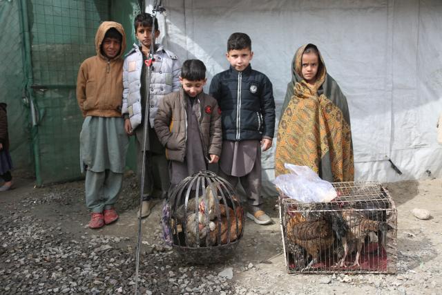 (260214) -- KABUL, Feb. 14, 2026 (Xinhua) -- Afghan children are seen at a makeshift refugee camp in Kabul, Afghanistan, Feb. 14, 2026. Nearly 150,000 Afghans have returned from Iran and Pakistan so far this year, the United Nations High Commissioner for Refugees (UNHCR) said on Friday, adding to an already unprecedented wave of returns that is deepening a humanitarian crisis in the country amid severe winter conditions. (Photo by Saifurahman Safi/Xinhua)