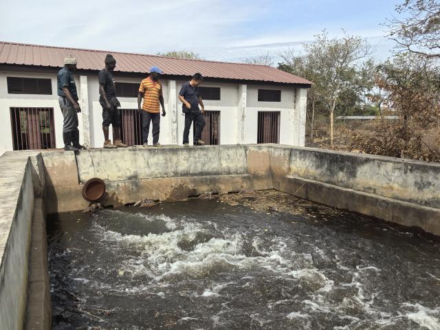 (260215) -- DAKAR, Feb. 15, 2026 (Xinhua) -- A Chinese agricultural expert and local staff members check the restored water flow at a pump station at Carantaba Farm in northeastern Guinea-Bissau, on Feb. 5, 2026. TO GO WITH "Feature: Chinese experts save rice harvest in Guinea-Bissau after pump failure" (The 12th Chinese Agricultural Technical Assistance Mission in Guinea-Bissau/Handout via Xinhua)