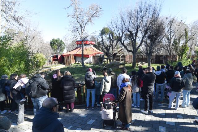(260215) -- MADRID, Feb. 15, 2026 (Xinhua) -- People visit the Madrid Zoo in Madrid, Spain, on Feb. 14, 2026. The Madrid Zoo held celebrations for the Chinese New Year, featuring lion dance performances, Chinese shadow puppetry and calligraphy workshops. (Photo by Gustavo Valiente/Xinhua)