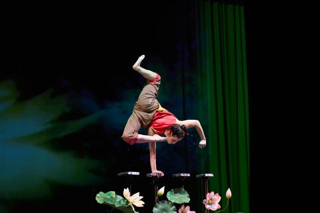 (260215) -- ST. PETERSBURG, Feb. 15, 2026 (Xinhua) -- A Chinese performer presents acrobatics at a "Happy Chinese New Year" celebration event in St. Petersburg, Russia, Feb. 14, 2026. (Photo by Irina Motina/Xinhua)