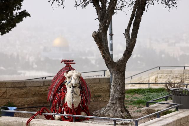 (260215) -- JERUSALEM, Feb. 15, 2026 (Xinhua) -- The Old City of Jerusalem is seen during a dust storm on Feb. 14, 2026. (Photo by Jamal Awad/Xinhua)