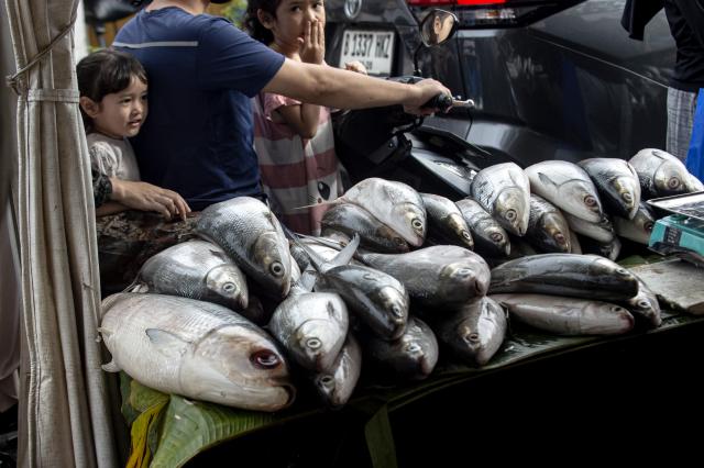 (260215) -- JAKARTA, Feb. 15, 2026 (Xinhua) -- People select milkfish during the Rawa Belong Milkfish (Bandeng) Festival in Jakarta, Indonesia, Feb. 15, 2026. (Xinhua/Agung Kuncahya B.)