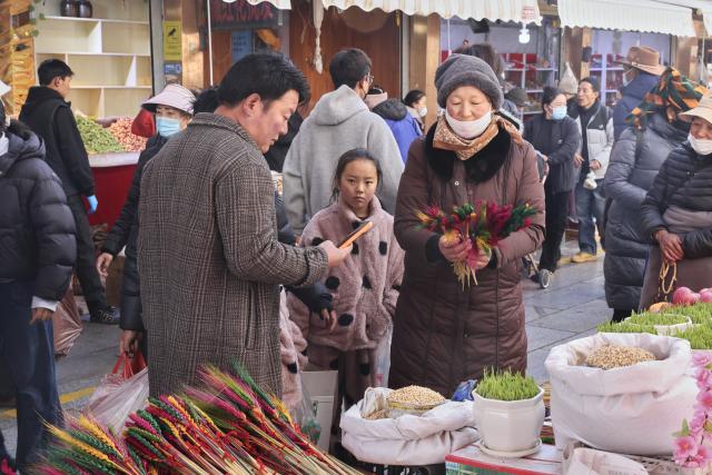 (260215) -- LHASA, Feb. 15, 2026 (Xinhua) -- People shop at a market in Lhasa, southwest China's Xizang Autonomous Region, Feb. 15, 2026. With the Spring Festival and the Tibetan New Year right around the corner, market places in Lhasa receive a surge of customers buying goods needed for the holidays. (Xinhua/Zhang Licong)