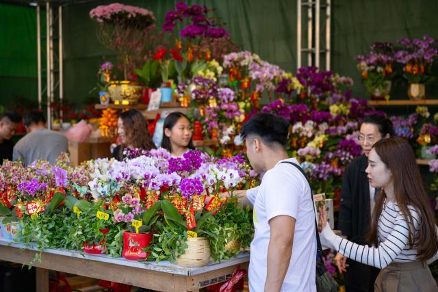 (260215) -- MACAO, Feb. 15, 2026 (Xinhua) -- People select flowers at a Spring Festival market in Macao, south China, Feb. 15, 2026. (Photo by Cheong Kam Ka/Xinhua)