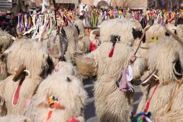 (260216) -- PTUJ, Feb. 16, 2026 (Xinhua) -- People dressed as Kurenti attend the international carnival festival in Ptuj, Slovenia, Feb. 15, 2026. (Photo by Zeljko Stevanic/Xinhua)