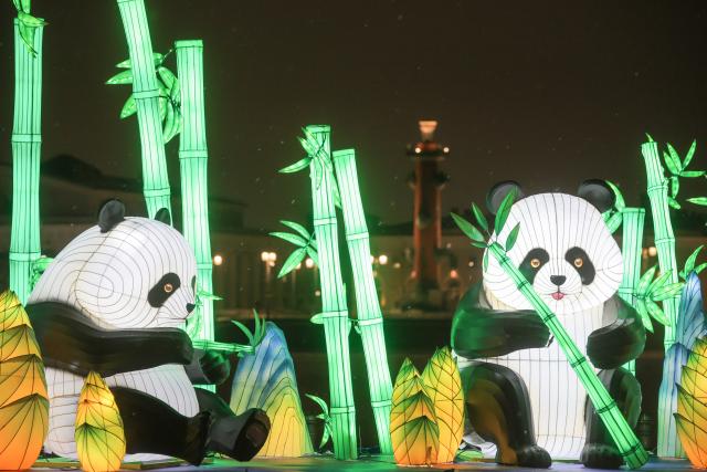 (260216) -- ST. PETERSBURG, Feb. 16, 2026 (Xinhua) -- This photo taken on Feb. 15, 2026 shows panda-themed light installations in St. Petersburg, Russia.
  Ten sets of large-scale lanterns and light installations made in Zigong of southwest China's Sichuan Province lit up along the Neva River here on Sunday to celebrate upcoming the Chinese New Year. (Photo by Irina Motina/Xinhua)