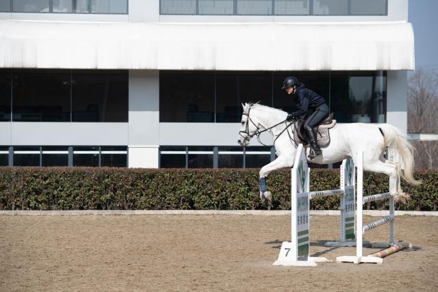 (260218) -- GUANGDE, Feb. 18, 2026 (Xinhua) -- Sasha trains at the Yangtze River Delta International Equestrian Center in Dongting Town of Guangde City, east China's Anhui Province, Jan. 16, 2026. Sasha, an equestrian from Russia, once studied in Shanghai and later went to Europe to study equestrian sports, where she met coach Vasil and eventually married him. They have a lovely daughter named Maya. In 2023, Sasha's family moved to Guangde to start a new life, as her husband Vasil was invited to teach at the Yangtze River Delta International Equestrian Center.
  "Riding has always been my favorite," Sasha said in Chinese. Sasha's family now lives near the equestrian center, where she trains daily in equestrian show jumping, takes walks with her beloved horse, and sometimes helps with horse training. Looking ahead, she hopes to participate in more equestrian competitions and to one day own her own ranch.
  Beyond the racetrack, Sasha engages in cultural activities to learn about local customs and traditions. Her daughter Maya attends a local kindergarten and has learned Chinese. Her husband Vasil's equestrian teaching is well received by students. These experiences have helped Sasha feel a sense of belonging in a place once unfamiliar to her. "Guangde is picturesque and has friendly people. Living and training here makes me feel wonderful," said Sasha. (Xinhua/Zhang Duan)