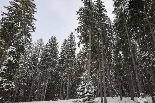 (260219) -- ANTERSELVA, Feb. 19, 2026 (Xinhua) -- Athlete competes during the biathlon women's 4x6km relay at the 2026 Milan-Cortina Winter Olympics in Anterselva, Italy, Feb. 18, 2026. (Xinhua/Zhang Tao)