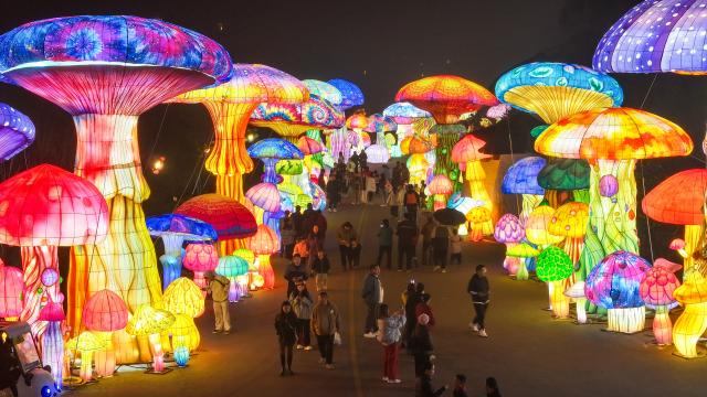 (260219) -- BEIJING, Feb. 19, 2026 (Xinhua) -- A drone photo taken on Feb. 17, 2026 shows tourists visiting a lantern fair in Xingyi City, southwest China's Guizhou Province. During the Spring Festival, lantern decorations across the country created a joyful atmosphere for the holiday. (Photo by Liu Chaofu/Xinhua)