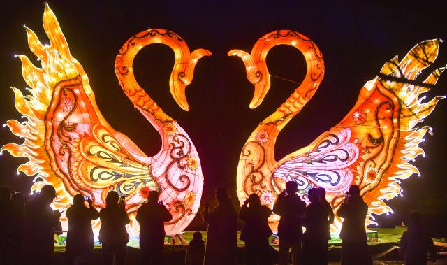 (260219) -- BEIJING, Feb. 19, 2026 (Xinhua) -- Tourists visit a themed lantern exhibition at a botanical garden in Luoyang City, central China's Henan Province, Feb. 17, 2026. During the Spring Festival, lantern decorations across the country created a joyful atmosphere for the holiday. (Photo by Huang Zhengwei/Xinhua)
