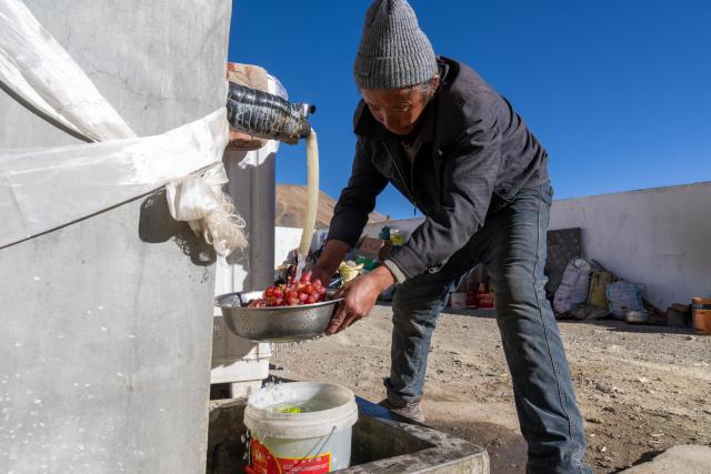 (260219) -- LHASA, Feb. 19, 2026 (Xinhua) -- Migmar, brother of Sangs-rgyas, washes fruits at Sangs-rgyas's home in Gurum Village of Chamco Township, Dingri County, southwest China's Xizang Autonomous Region, Feb. 16, 2026.
  Monday was the Chinese New Year's Eve, which coincided with the Night of Gutu of the Tibetan calendar. Enjoying the festive atmosphere, the family of Sangs-rgyas purchased new furniture and stocked up on New Year goods, celebrating their first Spring Festival and Tibetan New Year after moving into their new house.
  Last year, a 6.8 magnitude earthquake hit Dingri, home to the northern base camp of the world's highest peak, Mount Qomolangma, and other counties in the region on Jan. 7. In less than three days after the earthquake, Xizang rolled out a post-disaster reconstruction plan and kicked off the reconstruction work later. In the second half of 2025, the family of Sangs-rgyas moved into a safe and comfortable new residence. (Xinhua/Tenzing Nima Qadhup)