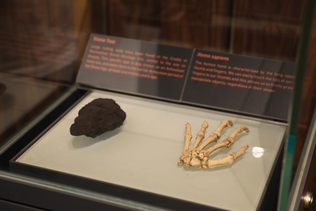 (260220) -- GAUTENG, Feb. 20, 2026 (Xinhua) -- This photo taken on Feb. 19, 2026 shows exhibits at the Maropeng exhibition center, located in the Cradle of Humankind World Heritage Site, in Gauteng Province, South Africa. The World Heritage listed Cradle of Humankind caves have produced a rich collection of human ancestor fossils. (Xinhua/Chen Wei)