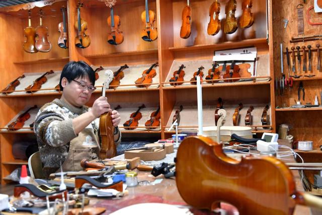 (260220) -- WUQIANG, Feb. 20, 2026 (Xinhua) -- Zhang Jintao, a studio owner, repairs a violin in Zhouwo Village, Wuqiang County, north China's Hebei Province, Feb. 4, 2026. TO GO WITH "Across China: North China village strikes global chord" (Xinhua)