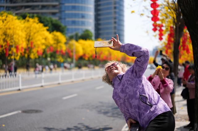 (260220) -- GUANGZHOU, Feb. 20, 2026 (Xinhua) -- People take photos of tabebuia chrysantha blossoms in Guangzhou, south China's Guangdong Province, Feb. 20, 2026. (Xinhua/Wu Lu)