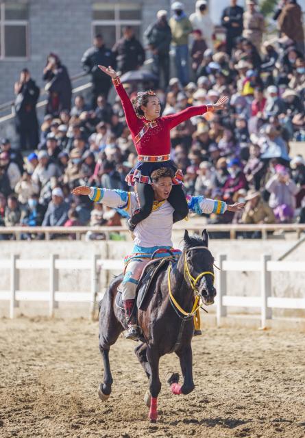 (260220) -- LHASA, Feb. 20, 2026 (Xinhua) -- Equestrian performers put on a show in Lhasa, southwest China's Xizang Autonomous Region, Feb. 20, 2026. Monday was the Chinese New Year's Eve, which was just one day earlier than the Night of Gutu of the Tibetan calendar this year, the prelude to the Tibetan New Year, or Losar, the most important festival in the Tibetan calendar.
    Losar is a time for family reunions. It is marked by religious rituals, long prayers, horse racing, family gatherings and feasts. 
    The city of Lhasa hosted ethnic equestrian performances and horse racing on Friday, the fourth day of the Year of the Horse, and also the third day of the Tibetan New Year, showcasing superb traditional skills and offering visual enjoyment to the audience. (Xinhua/Tenzin Nyida)