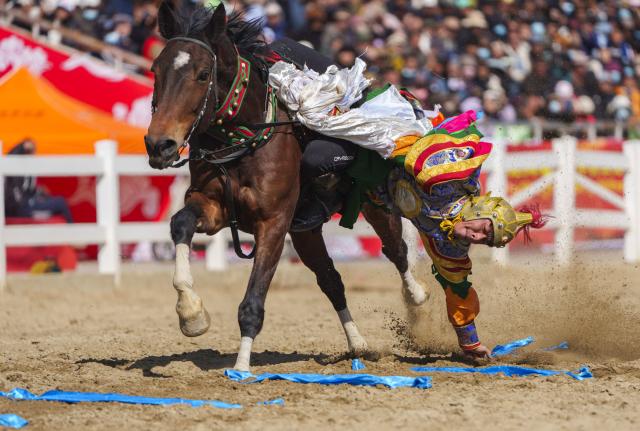 (260220) -- LHASA, Feb. 20, 2026 (Xinhua) -- An equestrian performer puts on a show in Lhasa, southwest China's Xizang Autonomous Region, Feb. 20, 2026. Monday was the Chinese New Year's Eve, which was just one day earlier than the Night of Gutu of the Tibetan calendar this year, the prelude to the Tibetan New Year, or Losar, the most important festival in the Tibetan calendar.
    Losar is a time for family reunions. It is marked by religious rituals, long prayers, horse racing, family gatherings and feasts. 
    The city of Lhasa hosted ethnic equestrian performances and horse racing on Friday, the fourth day of the Year of the Horse, and also the third day of the Tibetan New Year, showcasing superb traditional skills and offering visual enjoyment to the audience. (Xinhua/Tenzin Nyida)