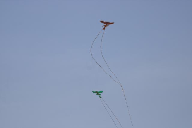 (260220) -- SIEM REAP, Feb. 20, 2026 (Xinhua) -- Flying kites are pictured during a kite flying festival in Siem Reap province, Cambodia, on Feb. 20, 2026. Some 138 kite flyers from different provinces across Cambodia participated the annual kite flying contest here on Friday. (Photo by Sao Khuth/Xinhua)