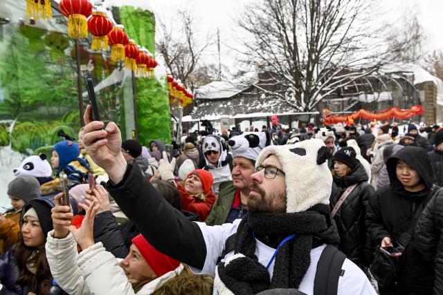 (260221) -- MOSCOW, Feb. 21, 2026 (Xinhua) -- Visitors take photos of giant pandas during an event celebrating the Chinese Lunar New Year at the Moscow Zoo in Moscow, Russia, Feb. 21, 2026. (Photo by Alexander Zemlianichenko Jr/Xinhua)