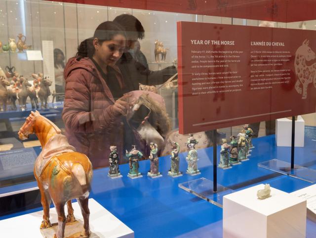 (260222) -- TORONTO, Feb. 22, 2026 (Xinhua) -- Visitors view exhibits of the Year of the Horse from the Chinese Zodiac Case exhibition at the Royal Ontario Museum in Toronto, Canada, on Feb. 21, 2026. Featuring a rich collection of horse-themed objects and cultural artifacts, this annual Chinese zodiac exhibition opened here on Feb. 10 and will last until Jan. 31, 2027. (Photo by Zou Zheng/Xinhua)
