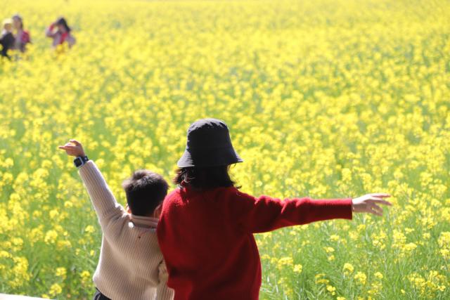 (260222) -- BEIJING, Feb. 22, 2026 (Xinhua) -- Tourists visit a rapeseed flower field in Songjian Village of Songmen Town, Wenling City, east China's Zhejiang Province, Feb. 21, 2026. (Photo by Jiang Wenhui/Xinhua)