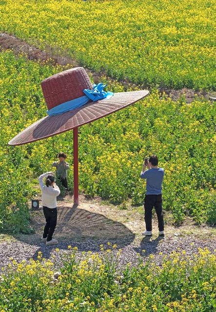(260222) -- BEIJING, Feb. 22, 2026 (Xinhua) -- A drone photo taken on Feb. 21, 2026 shows tourists visiting a rapeseed flower field in Baita Town of Xianju County, Taizhou City, east China's Zhejiang Province. (Photo by Wang Huabin/Xinhua)