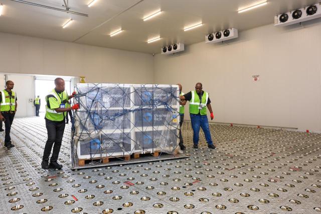 (260223) -- JOHANNESBURG, Feb. 23, 2026 (Xinhua) -- Workers move foot-and-mouth disease (FMD) vaccines in Johannesburg, South Africa, Feb. 21, 2026. South Africa on Saturday received one million doses of high-potency FMD vaccines as part of efforts to curb recurring outbreaks, the Department of Agriculture said. 
   TO GO WITH "South Africa secures 1 mln FMD vaccine doses" (GCIS/Handout via Xinhua)