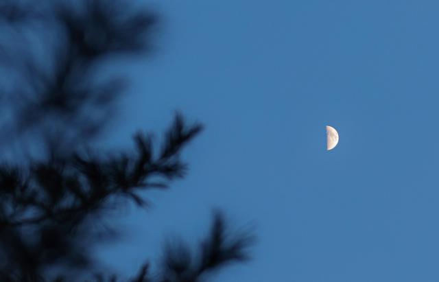 (260224) -- BEIJING, Feb. 24, 2026 (Xinhua) -- This photo taken on Feb. 24, 2026 shows the moon over Yimei District of Yichun, northeast China's Heilongjiang Province. The largest first quarter moon of the year appeared in the sky on Tuesday. The moon was near its perigee in orbit, approximately 370,000 kilometers from the Earth. (Photo by Li Jiaxing/Xinhua)