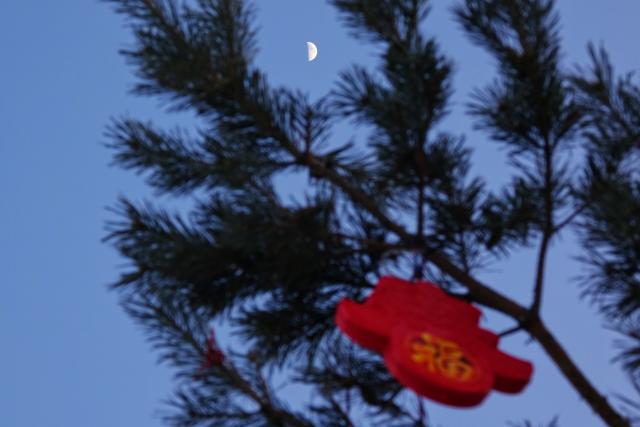 (260224) -- BEIJING, Feb. 24, 2026 (Xinhua) -- This photo taken on Feb. 24, 2026 shows the moon over Tongjiang City, northeast China's Heilongjiang Province. The largest first quarter moon of the year appeared in the sky on Tuesday. The moon was near its perigee in orbit, approximately 370,000 kilometers from the Earth. (Photo by Liu Wanping/Xinhua)