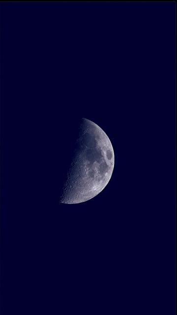 (260224) -- BEIJING, Feb. 24, 2026 (Xinhua) -- The moon is photographed through an intelligent astronomical telescope in Beijing, capital of China, Feb. 24, 2026. The largest first quarter moon of the year appeared in the sky on Tuesday. The moon was near its perigee in orbit, approximately 370,000 kilometers from the Earth. (Xinhua/Xing Guangli)