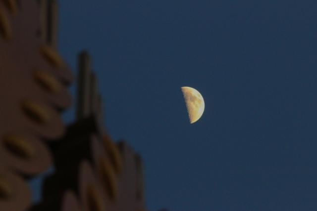 (260224) -- BEIJING, Feb. 24, 2026 (Xinhua) -- This photo taken on Feb. 24, 2026 shows the moon above Yabuli Ski Resort in Yabuli, northeast China's Heilongjiang Province. The largest first quarter moon of the year appeared in the sky on Tuesday. The moon was near its perigee in orbit, approximately 370,000 kilometers from the Earth. (Photo by Zeng Dong/Xinhua)