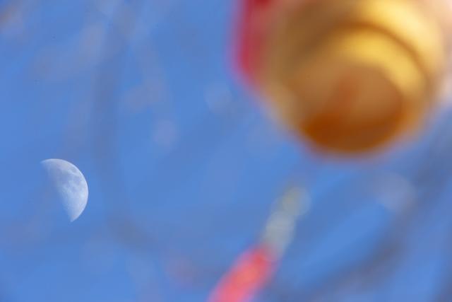 (260224) -- BEIJING, Feb. 24, 2026 (Xinhua) -- This photo taken on Feb. 24, 2026 shows the moon over Fujin City, northeast China's Heilongjiang Province. The largest first quarter moon of the year appeared in the sky on Tuesday. The moon was near its perigee in orbit, approximately 370,000 kilometers from the Earth. (Photo by Qu Yubao/Xinhua)