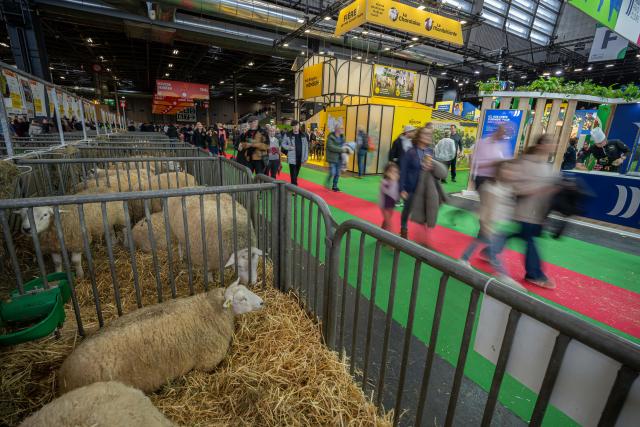 (260224) -- PAIRS, Feb. 24, 2026 (Xinhua) -- Visitors attend the 62nd International Agricultural Fair in Paris, France, Feb. 24, 2026. The fair will last until March 1. (Photo by Aurelien Morissard/Xinhua)