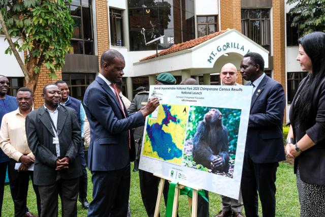 (260225) -- KAMPALA, Feb. 25, 2026 (Xinhua) -- Martin Mugarra Bahinduka, Uganda's minister of state for tourism, wildlife and antiquities, signs on a board during the launch of the Bwindi chimpanzee census results in Kampala, Uganda on Feb. 24, 2026. A new scientific census estimates that around 426 chimpanzees live alongside endangered mountain gorillas in Bwindi Impenetrable National Park, a forest in southwestern Uganda dominated by gorilla habitat.
   TO GO WITH "Census estimates 426 chimpanzees share habitat with mountain gorillas in Uganda's Bwindi Forest" (Photo by Hajarah Nalwadda/Xinhua)