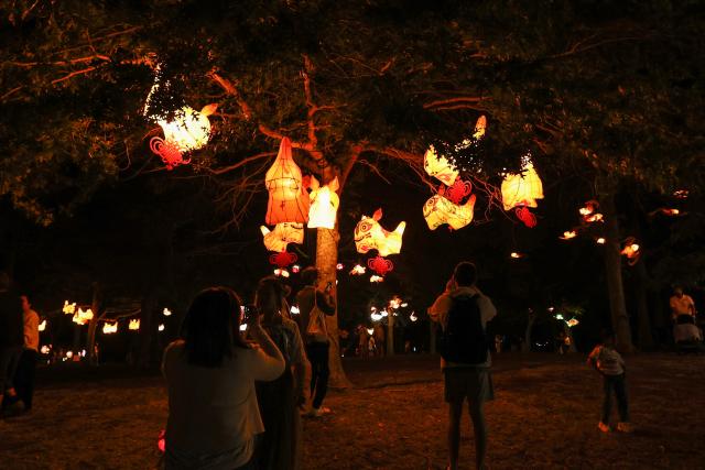 (260227) -- AUCKLAND, Feb. 27, 2026 (Xinhua) -- People visit a Lantern Festival celebration in Auckland, New Zealand, Feb. 26, 2026. (Xinhua/Long Lei)