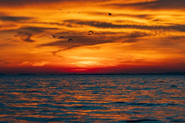 (260227) -- KISUMU, Feb. 27, 2026 (Xinhua) -- Photo taken on Feb. 27, 2026 shows a sunset view in Lake Victoria in Kisumu, Kenya. (Xinhua/Xie Jianfei)