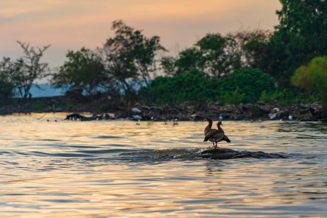 (260227) -- KISUMU, Feb. 27, 2026 (Xinhua) -- Photo taken on Feb. 27, 2026 shows a view in Lake Victoria in Kisumu, Kenya. (Xinhua/Xie Jianfei)