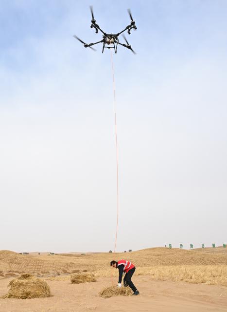 (260228) -- ALXA, Feb. 28, 2026 (Xinhua) -- A worker receives straws from a drone, which are used to make straw checkerboard barriers for sand control, at Ulan Buh Desert in Alxa League, north China's Inner Mongolia Autonomous Region, on Feb. 28, 2026.
  The Alxa league's sand prevention and control project of this year was launched on Saturday at Ulan Buh Desert, the eighth-largest in China. 
   Located in a key sand-control zone in northern China, Alxa League has implemented integrated sand-control measures combining engineering-based sand stabilization, biological treatment and ecosystems building. Over the past four decades, Alxa League has carried out sand prevention and control across nearly 100 million mu (6.67 million hectares) and will continue to contribute to building an ecological security barrier in northern China. (Xinhua/Bei He)