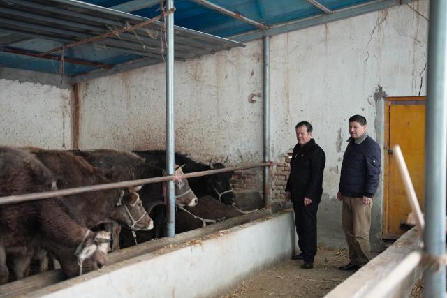 (260301) -- XINYUAN, March 1, 2026 (Xinhua) -- Musajan Khairat (L) inspects a shed of a local villager in Keregetas Village, Xinyuan County of Ili Kazak Autonomous Prefecture, northwest China's Xinjiang Uygur Autonomous Region, Feb. 9, 2026.
  Musajan Khaira, a villager of Keregetas Village of Xinyuan County, is a deputy to the National People's Congress (NPC). After graduating from junior high school, he learned blacksmithing and welding skills and runs a welding workshop. In addition to pursuing a better life for his own family, Musajan also taught welding skills to villagers for free, helping local people to increase their incomes.
  As an NPC deputy, Musajan consistently focuses on the demands of local people. In response to villagers' concerns about difficulties in farmland irrigation and road accessibility, he presented a suggestion on construction of high-standard farmland at a ravine area in Xinyuan County. With his efforts, a high-standard farmland construction project was launched and drip irrigation facilities were promoted, making it easier for farmers to cultivate the land and ensuring more stable income growth.
  Musajan keeps concentrating on high-quality development of rural areas. He presented suggestions such as advancing the reconstruction and expansion of local airport, upgrading county roads, and protecting wetland ecosystems, to promote rural development and improve local people's well-being. (Xinhua/Xin Yuewei)